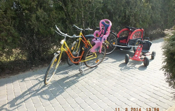 Wypożyczalnia 1