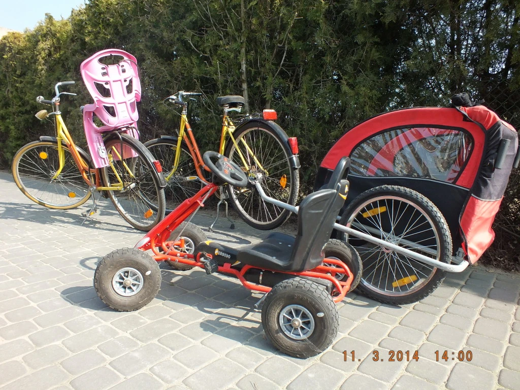 DSCF3663