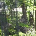 Paintball Arena (1)