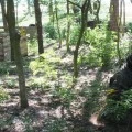 Paintball Arena (12)