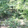 Paintball Arena (14)