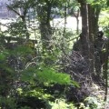 Paintball Arena (2)