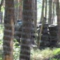 Paintball Arena (4)