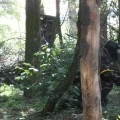 Paintball Arena (8)
